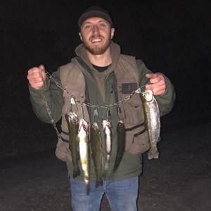 Meet your Posher, Tyler